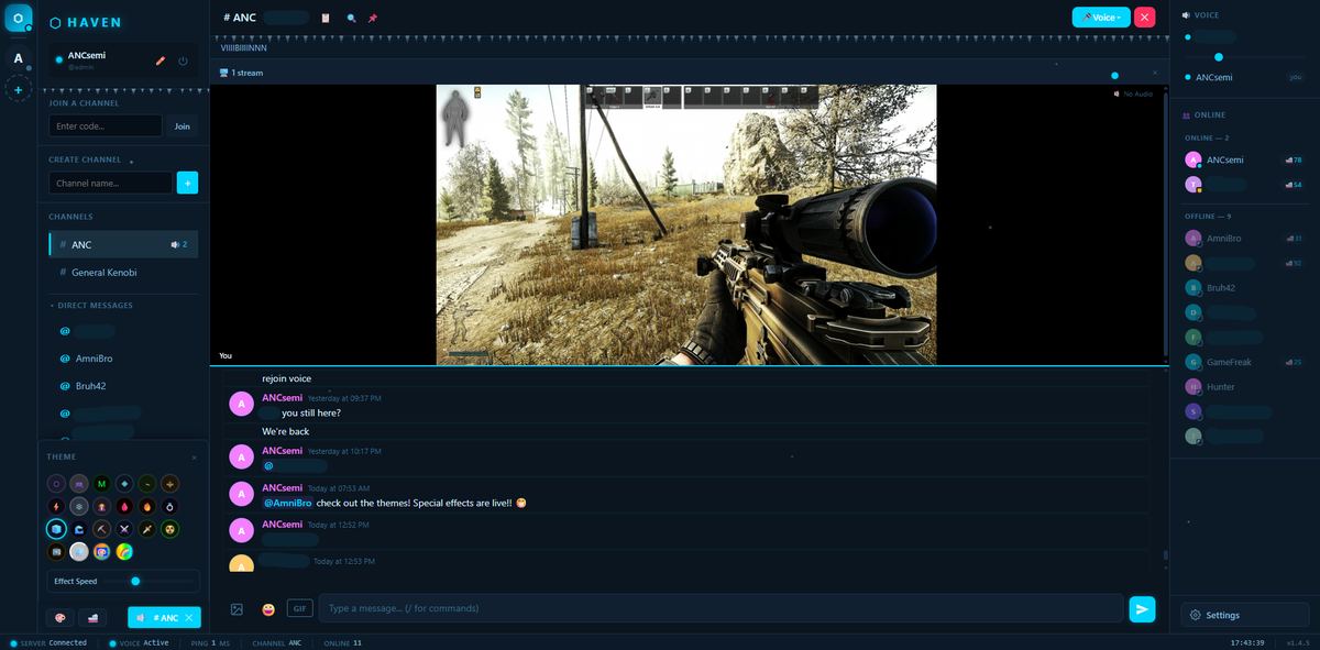 Screen sharing with voice chat and more than one stream